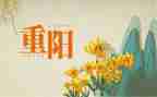 学校开展重阳节活动方案6篇