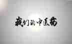中医心得体会模板6篇