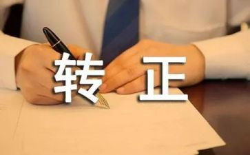 公司转正自我鉴定推荐5篇