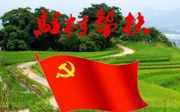 驻村干部个人述职报告6篇