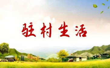 2024年驻村个人总结优秀8篇