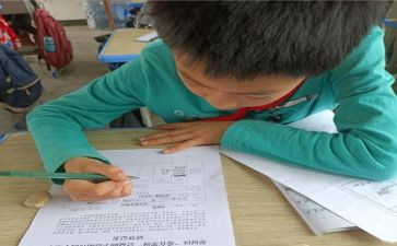 助学金申请书范文800字优质7篇