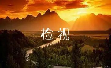 自检自查报告模板5篇