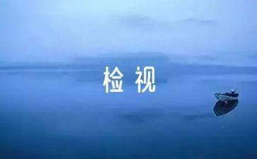 小学安全自检自查报告精选6篇