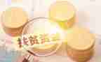 资金租工作总结参考6篇