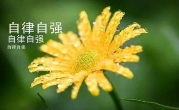 小学生自立自强好少年演讲稿7篇