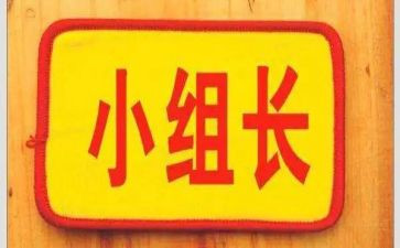 竞选组长演讲稿优质7篇