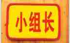2024年组长工作总结推荐6篇